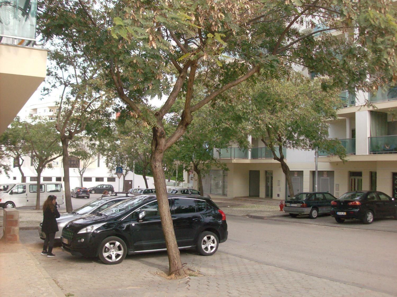 Appartement Pinheiro Portimão Dış mekan fotoğraf